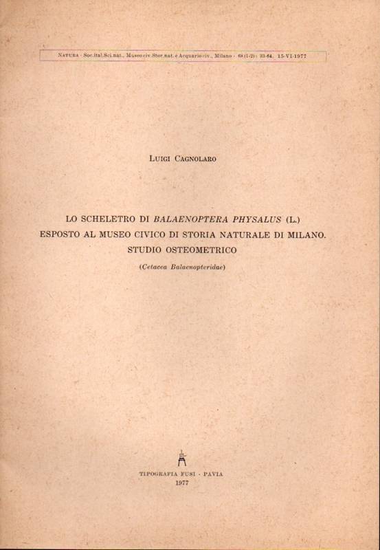 Cagnolaro,Luigi  Lo Scheletro di Balaenoptera Physalus (L.) 