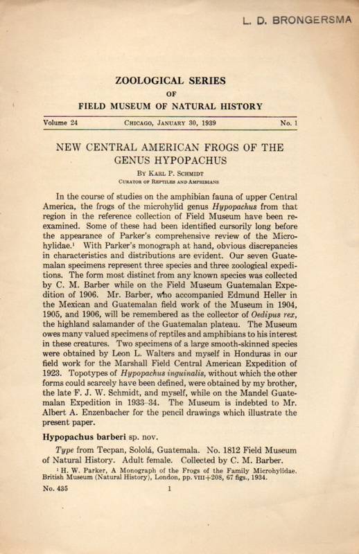 Schmidt,Karl P.  New Central American Frogs of the Genus Hypopachus 