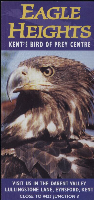 Kent-Zoo  Eagle Heights Kent´s bird of prey centre 
