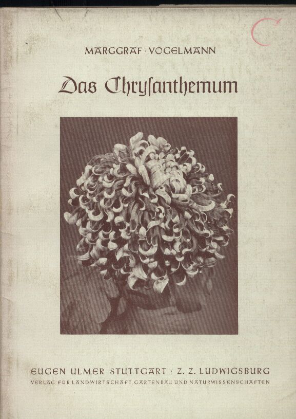 Marggraf,Max+Albert,Vogelmann (Bearb.)  Das Chrysanthemum sein Formenreichtum uns seine Kultur 