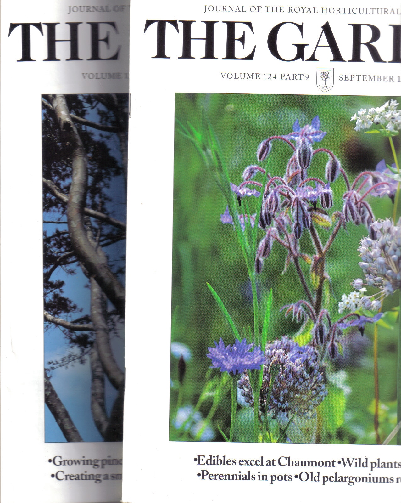 The Royal Horticultural Society RHS  The Garden Journal Volume 124, 1999 Part 1 bis 12 (12 Hefte) 