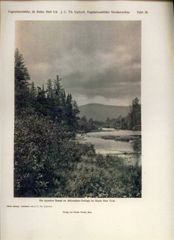 Uphof,J.C.Th.  Vegetationsbilder aus den östlichen Staaten Nordamerikas 