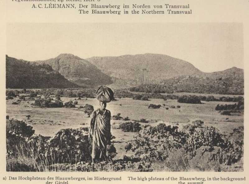 Leemann,Dr.,A.,C.  Der Blaauwberg im Norden von Transvaal 