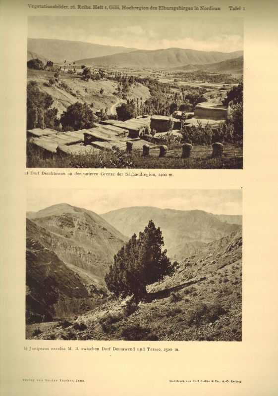 Gilli,Alexander  Vegetationsbilder aus der Hochregion des Elbursgebirges in Nordiran 