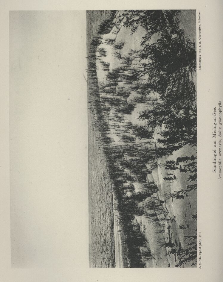 Uphof,Th.C.J.  Vegetationsbilder aus dem Staate Michigan 