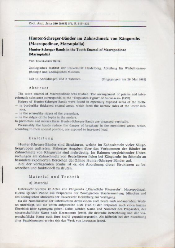 Beier,Konstantin  Hunter-Schreger-Bänder im Zahnschmelz von Känguruhs (Macropodinae, 