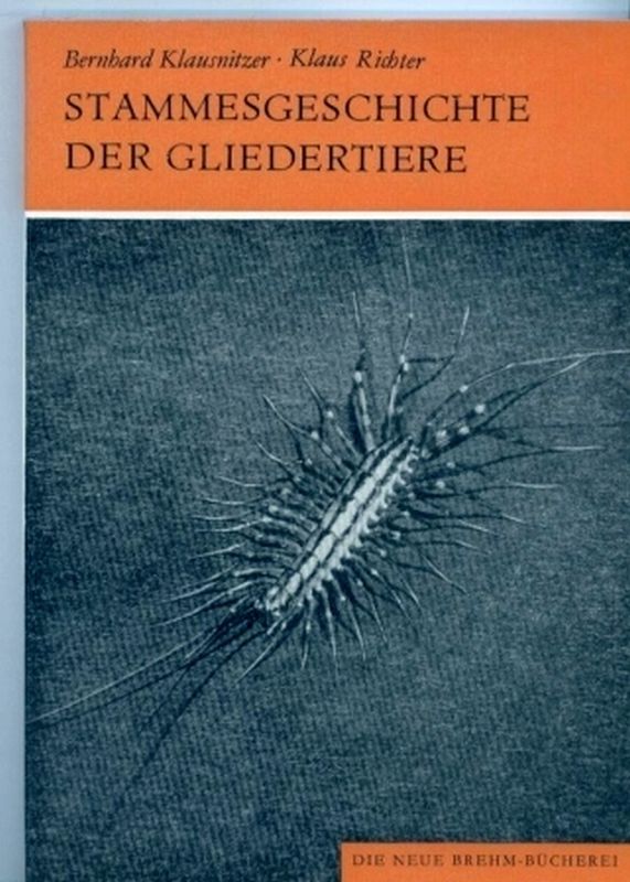 Klausnitzer,Bernhard+Klaus Richter  Stammesgeschichte der Gliedertiere (Articulata) 