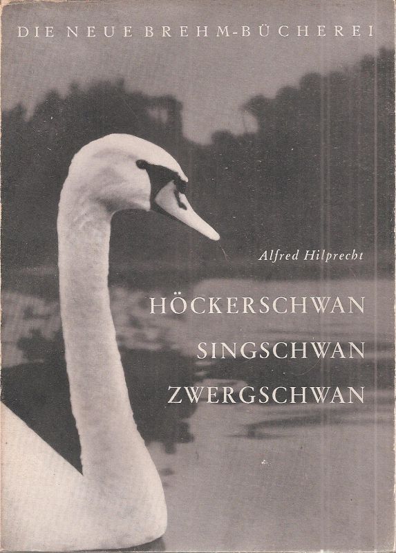 Hilprecht,Alfred  Höckerschwan, Singschwan, Zwergschwan 