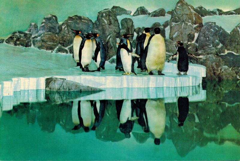 Frankfurt-Zoologischer Garten  Pinguin-Anlage im Exotarium 