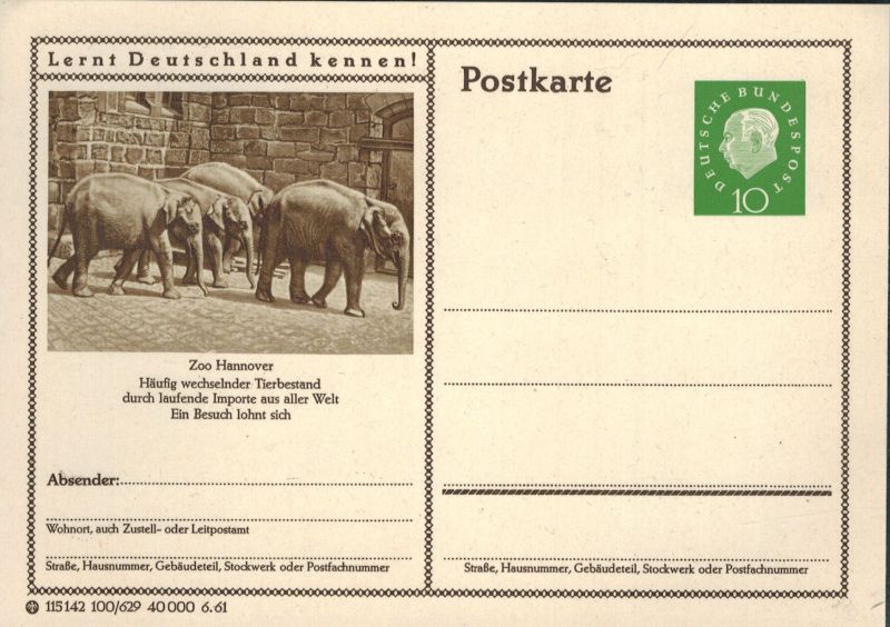 Hannover-Zoo  Gruppe von Indischen Elefanten 