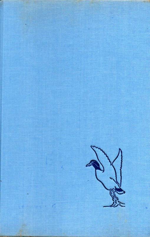 Engel,Martin Fritz  Das große Buch der Vögel 