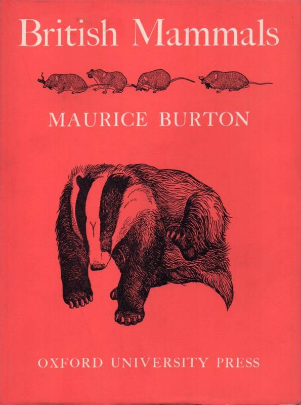 Burton,Maurice  British Mammals 