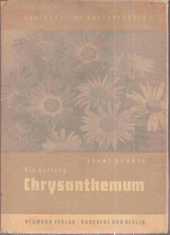 Böhmig,Franz  Chrysanthemum 