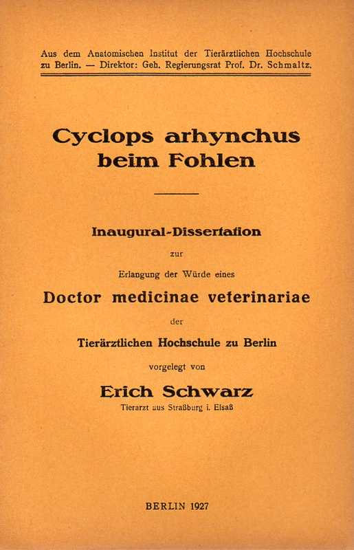 Schwarz,Erich  Cyclops arhynchus beim Fohlen 