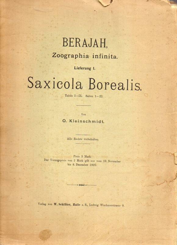 Kleinschmidt,O.  Saxicola Borealis (Kl.) Grauer Steinschmätzer 