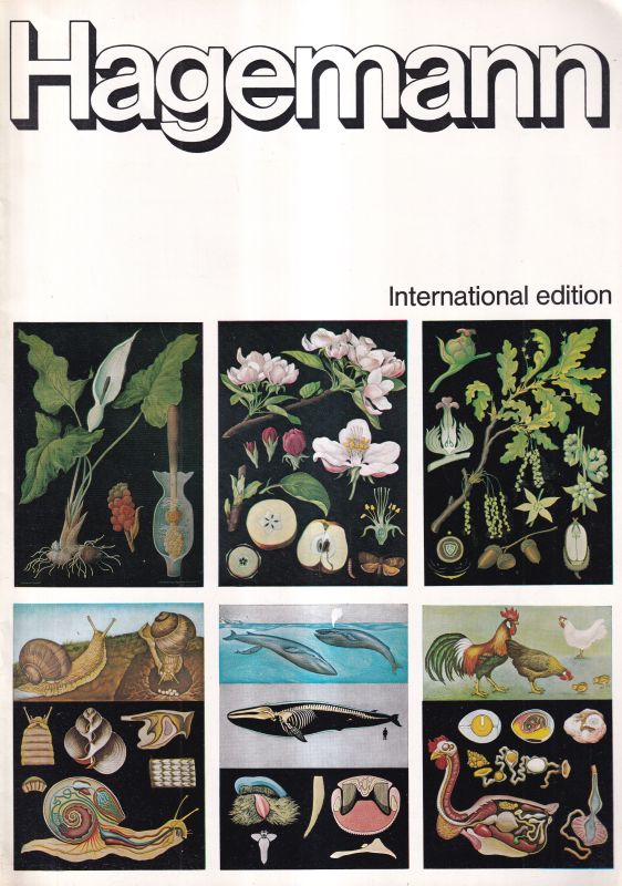 Hagemann,W. Lehrmittelverlag  International Edition 