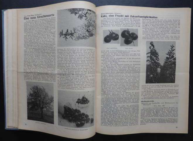 Hrsg. Moißl , Franz    Obst - Zeitschrift für die Gesamtinteressen des österreichischen Obstbaues  kompletter  6 . ( 1937 und 7. ( 1938 ) Jahrgang   