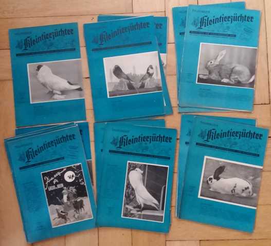 Hrsg. Autorenkollektiv   Thüringer  Kleintierzücher - Mitteilungsblatt der Rassegeflügel ( Tauben ),  Kaninchen, Ziegen, Pelztier und Rassehundezüchter - vollständiger Jahrgang 1953  
