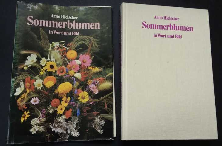 Hielscher , Arno    Sommerblumen in Wort und Bild   