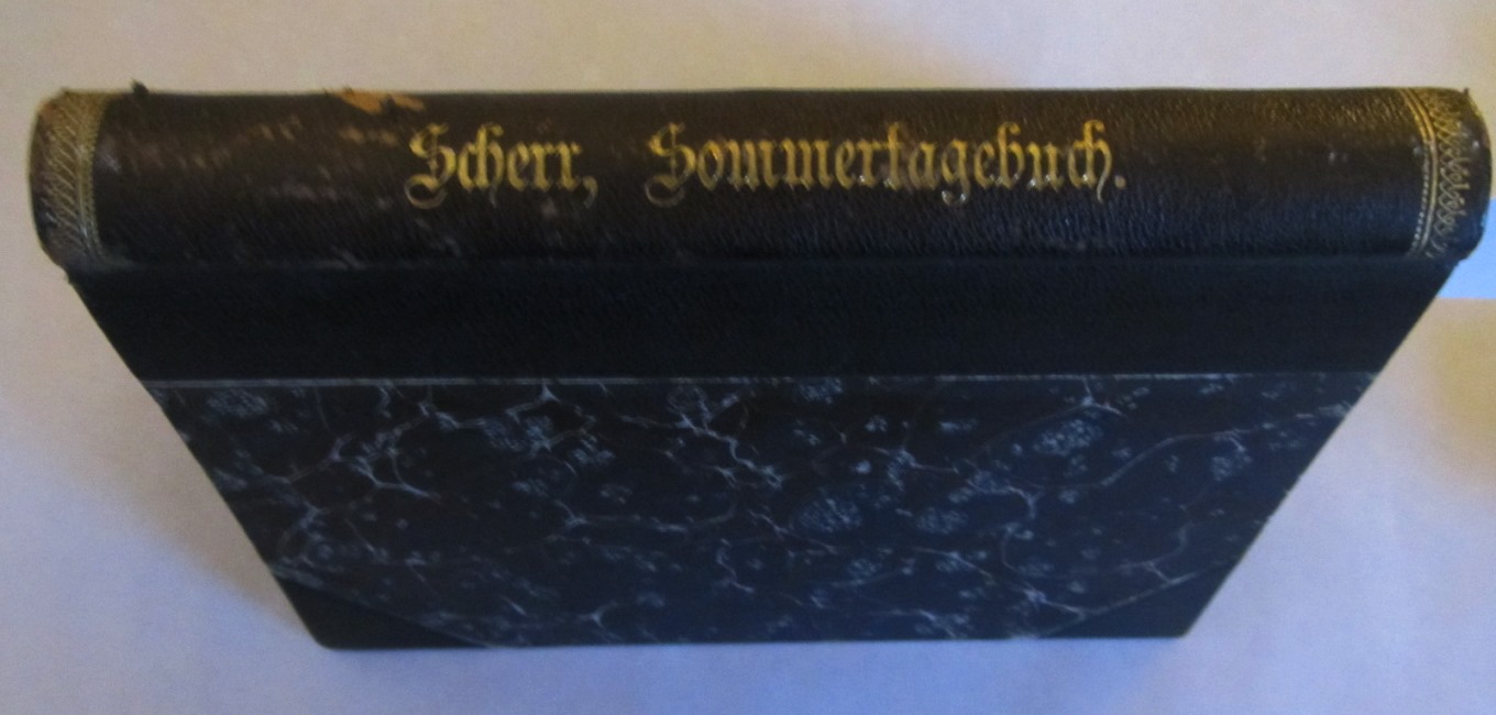 Scherr, Johannes (Hrsg.):  Sommertagebuch (1872) des weiland Dr. gastrosoph. Jeremia Sauerampfer. 