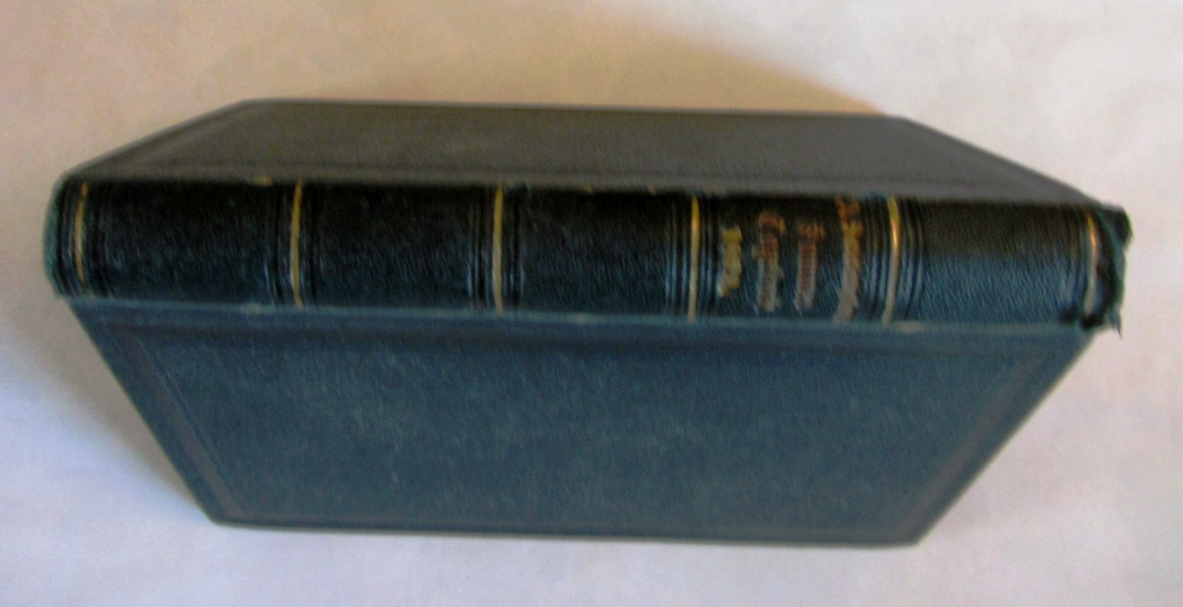 Scherr, Johannes:  Sommertagebuch (1872) des weiland Dr. gastrosoph. Jeremia Sauerampfer. 