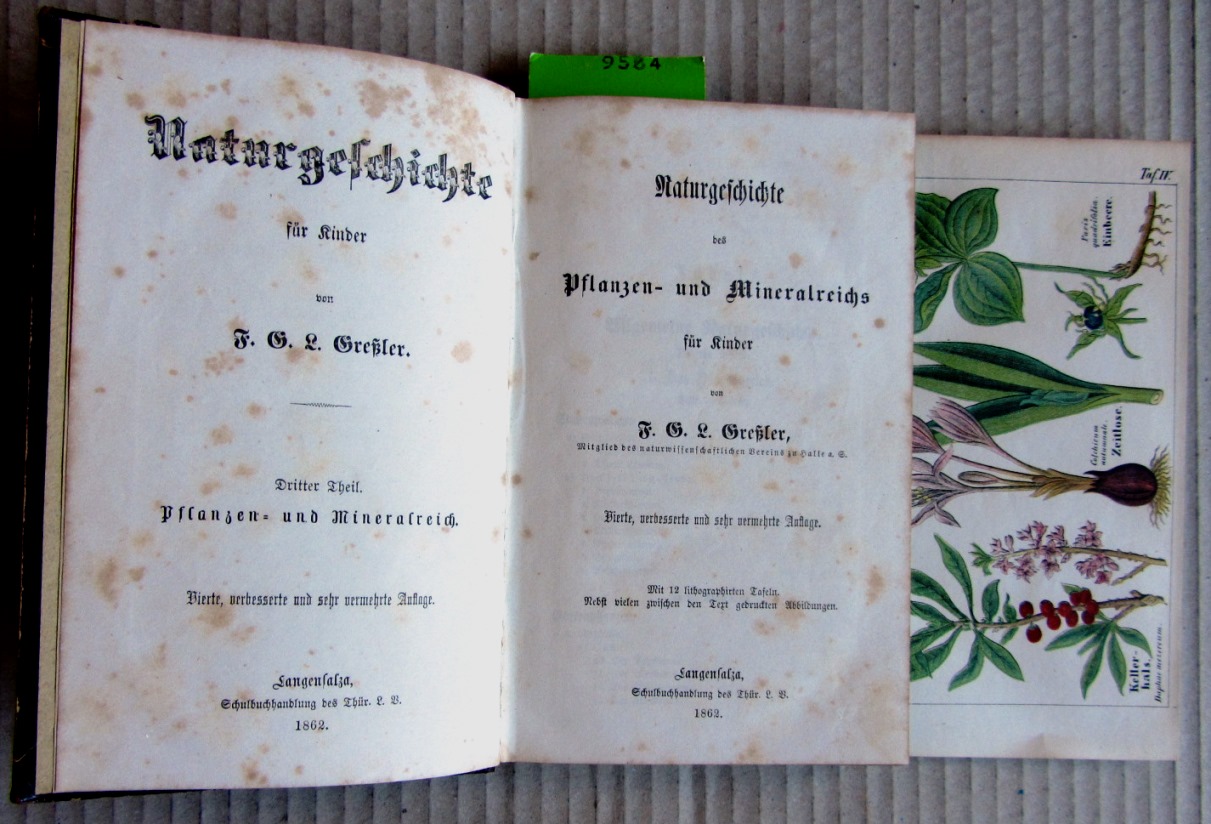 Greßler, F.G.L.:  Naturgeschichte des Pflanzen- und Mineralreichs für Kinder. ("Naturgeschichte für Kinder", Dritter Theil) 