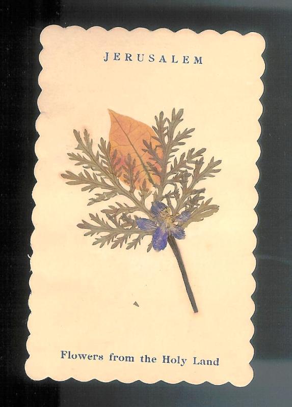 Relic card  Jerusalem. "Flowers from the Holy Land". 