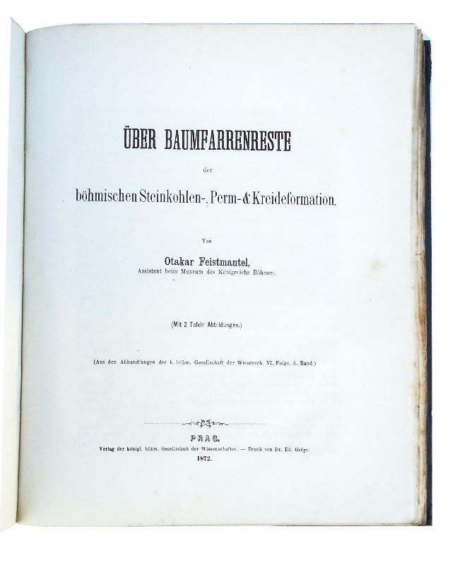 Abhandlungen der königl. Böhmischen Gesellschaft der Wissenschaften vom Jahre 1870.  6 Bände in 1 Band. (= Sechste Folge, vierter Band). 