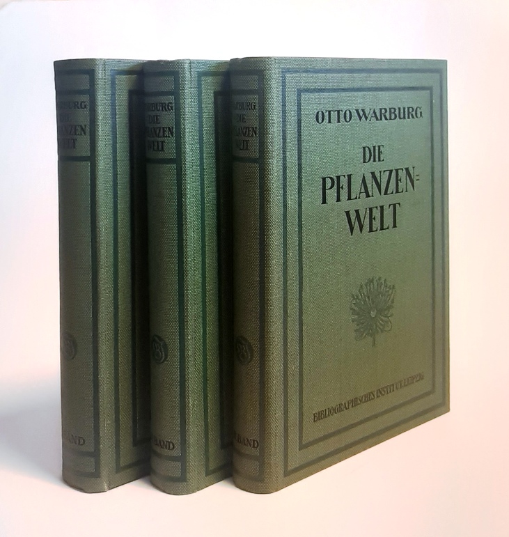 Warburg, Otto  Die Pflanzenwelt. Komplett in 3 Bänden. 