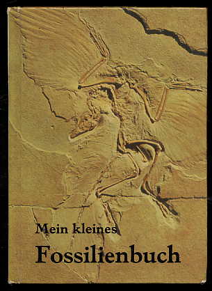 Daber, Rudolf und Jochen Helms:  Mein kleines Fossilienbuch. 