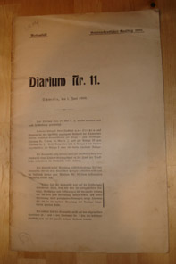  Diarium Nr. 11. Außerordentlicher Landtag 1908. 