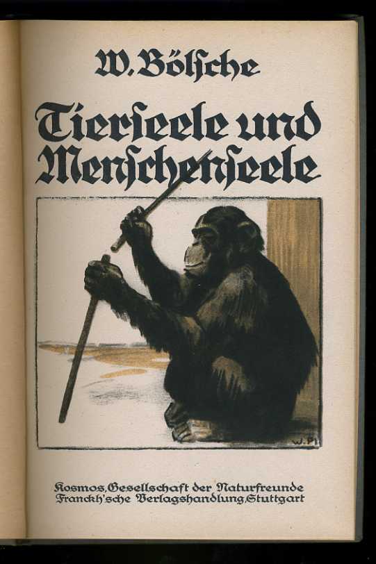 Bölsche, Wilhelm:  Tierseele und Menschenseele. Kosmos. Gesellschaft der Naturfreunde. Kosmos Bibliothek 97. 