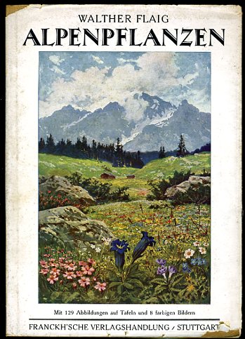 Flaig, Walther:  Alpenpflanzen. Die Pflanzenwelt der Hochgebirge in ihrer Umwelt dargestellt nach naturgetreuen Zeichnungen und Photographien. 
