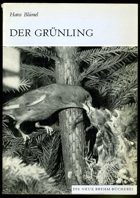Blümel, Hans:  Der Grünling. Carduelis chloris. Die neue Brehm-Bücherei 490. 