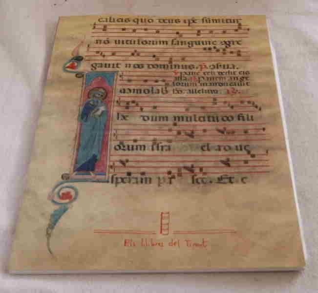   Manuscritos e incunables algunos libros espanoles antiguos. 