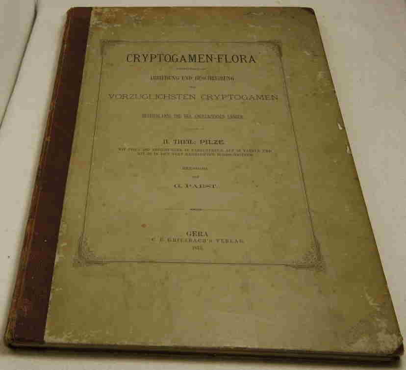   Cryptogamen-Flora. 