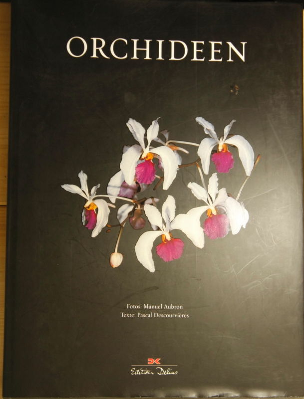   Orchideen. 