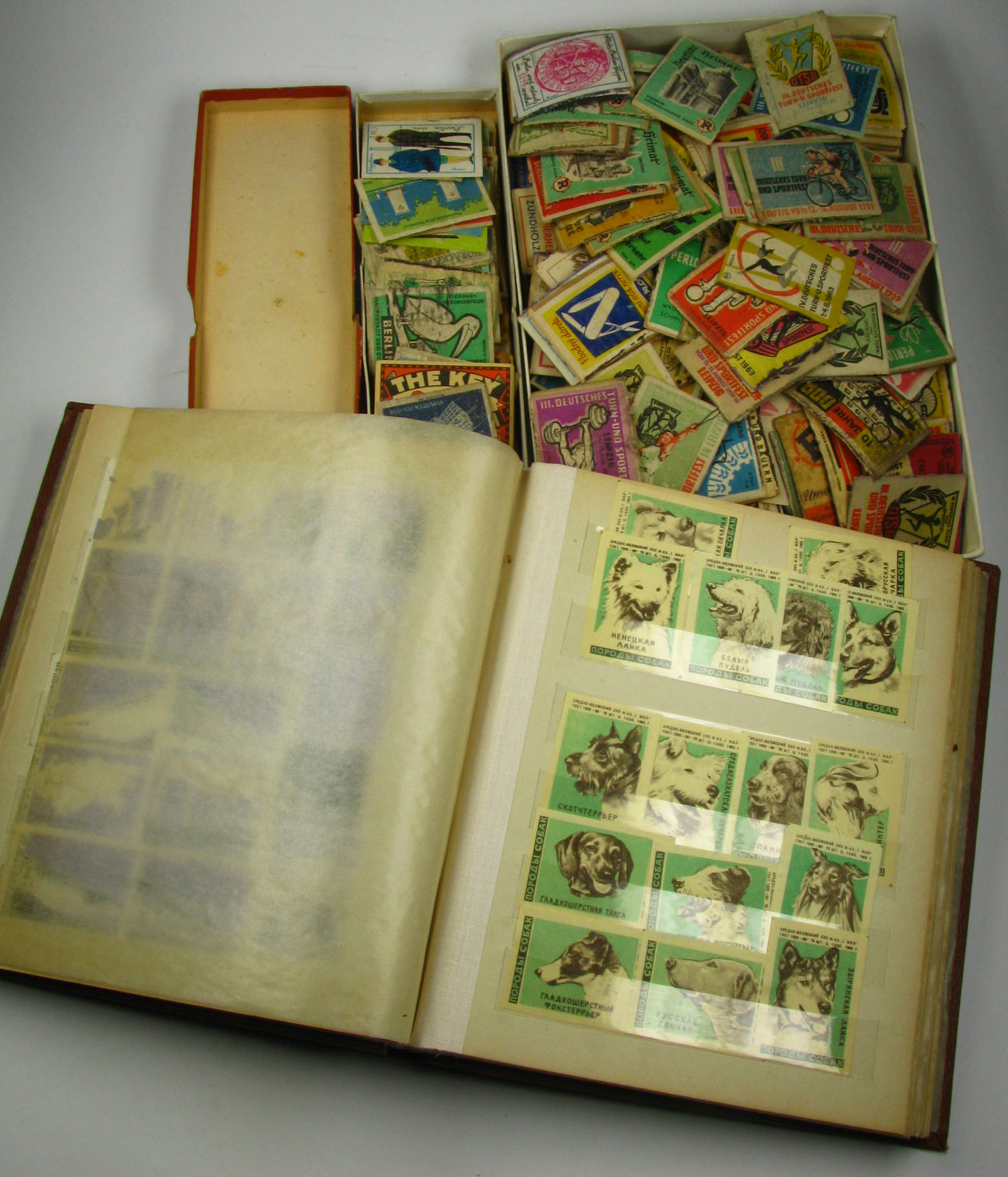  Große Sammlung Streichholzschachteletiketten (1950/1960-er Jahre) 