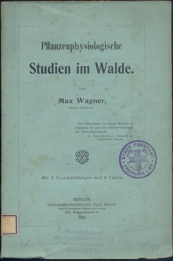 Wagner, Max  Pflanzenphysiologische Studien im Walde. 