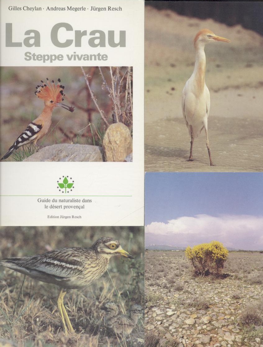 Cheylan, Gilles, Andreas Megerle u. Jürgen Resch  La Crau - Steppe vivante. Guide du naturaliste dans le desert provencal. Trad. par Marten Busse. 