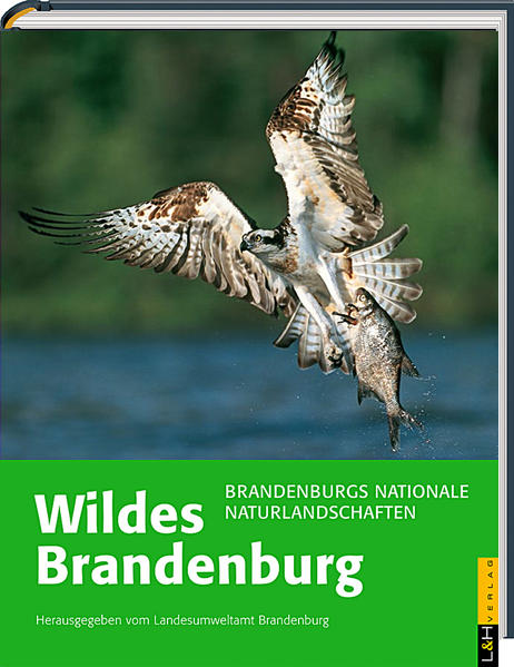 Landesumweltamt Brandenburg (Hg.):  Wildes Brandenburg : Brandenburgs nationale Naturlandschaften. Red. und Texte: Jörg Götting unter Mitarb. von Beate Blahy ...]. Nationale Naturlandschaften in Brandenburg 