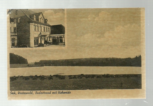   Ansichtskarte Seck (Westerwald) Badestrand mit Viehweide (Gasthof zum Adler, Warenhandlung Theodor Schäfer, Seck) 