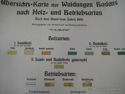 Grossherzogliche, Forst- u. Domänendirektion  Übersichts-Karte (Übersichtskarte) der Waldungen Badens nach Holz- und Betriebsarten 1:200.000 (nach dem Stand vom Jahre 1906) 