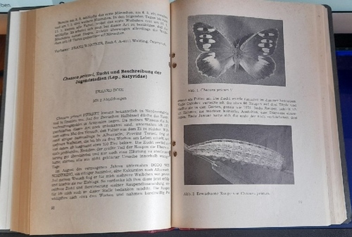 Schröder, Heinz Dr.,  Entomologische Zeitschrift (Schmetterlinge) 