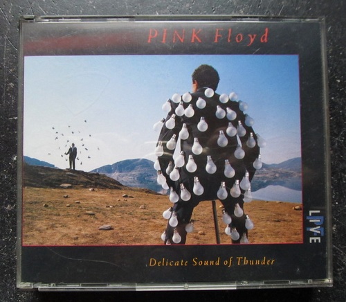 Pink Floyd  Delicate Sound Of Thunder. LIVE (2 CD) 