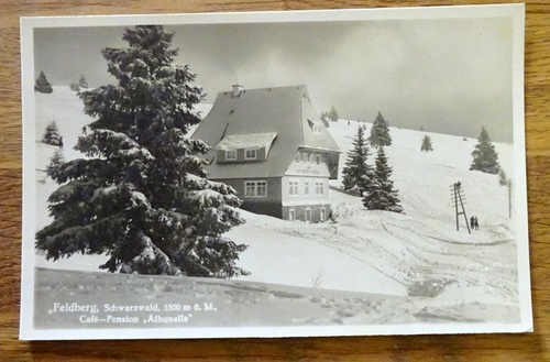   Ansichtskarte AK Feldberg, Schwarzwald. Cafe-Pension, "Albquelle" 
