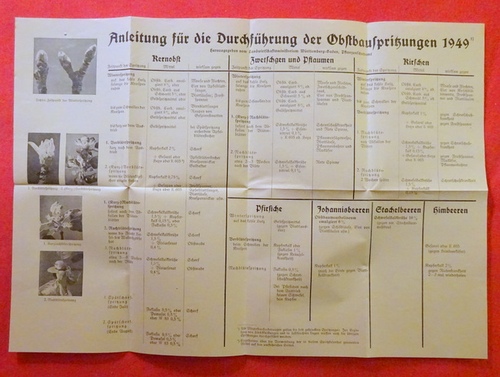 Pflanzenschutzamt, Augustenburg (Grötzingen)  Auch 1949 gesundes Obst durch planmäßigen Pflanzenschutz (Ca. DIN A3 großer Faltprospekt "Anleitung für die Durchführung der Obstbauspritzungen 1949) 