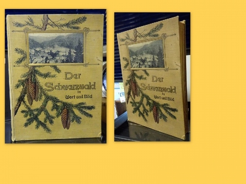 Neumann, Ludwig und Franz Völker  Der Schwarzwald in Wort und Bild (Der badische Schwarzwald. Der württembergische Schwarzwald) 