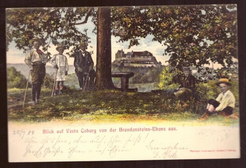   Ansichtskarte AK Blick auf die Veste Coburg von der Brandensteins-Ebene aus (Farblitho) 