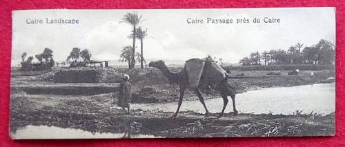   Ansichtskarte AK Cairo Landscape / Caire Paysage pres du Caire 